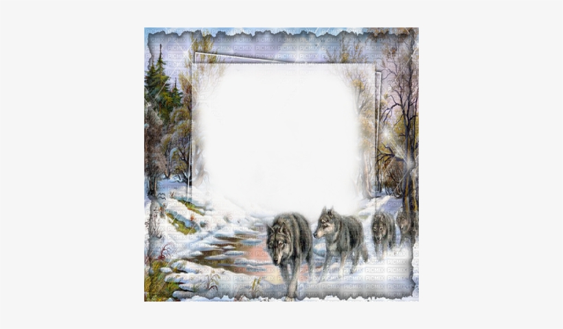 Winter Forest Wolf Frame Cadre Hiver Loup Png De Frames Nature Beautiful Free Transparent Png Download Pngkey
