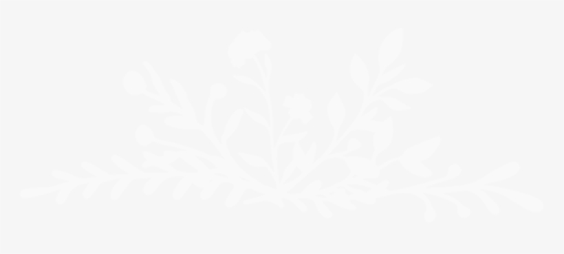 Florals - White Colour Dp For Whatsapp, transparent png #931140