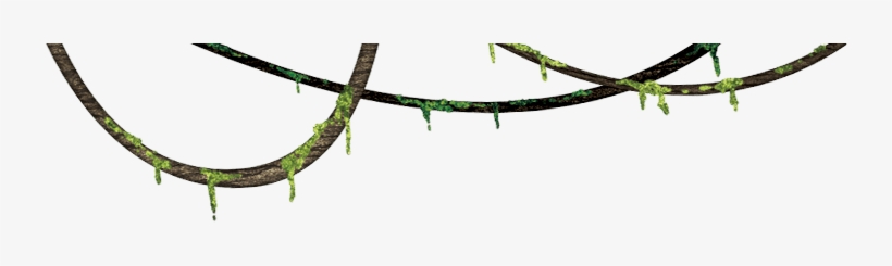 Jungle Vines Png - Jungle Png, transparent png #931214