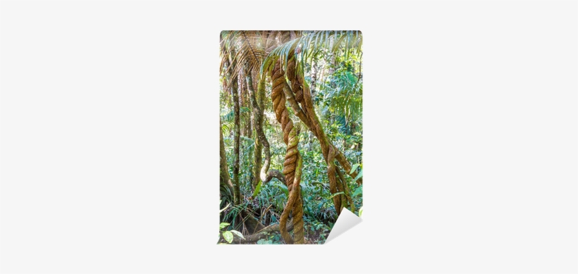 Rurrenabaque, transparent png #931607