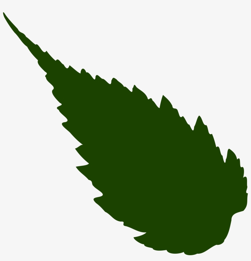 Jungle Vine Clip Art - Neem Leaf Vector, transparent png #931683