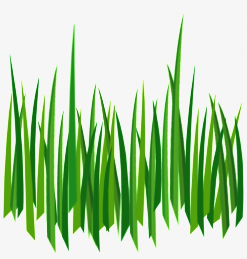 Transparent Ornamental Material For Long Branches And - Cartoon Grass Transparent Background, transparent png #932686