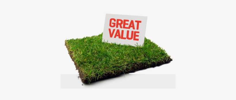 Turf Supplies - Portable Network Graphics, transparent png #932933