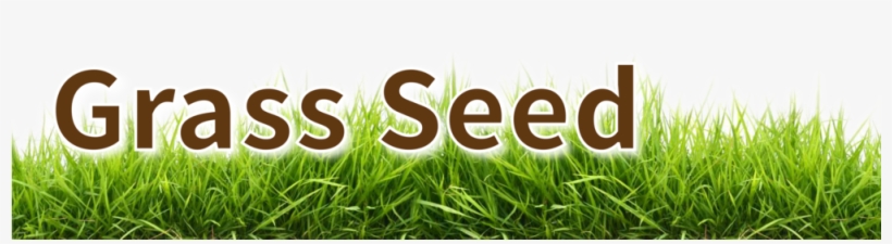 Grass Seed Header-02, transparent png #932937