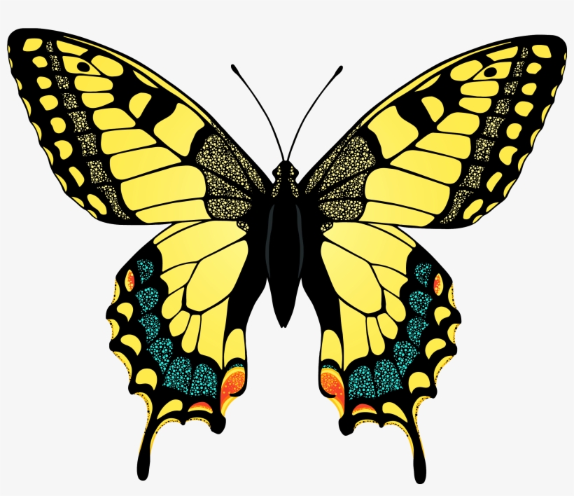 Yellow Swallowtail Butterfly Transparent, transparent png #932967