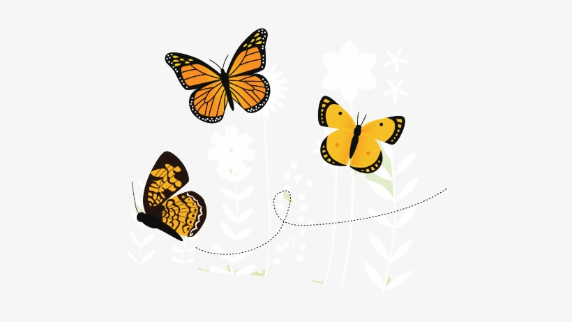 If They Sense A Predator, Or A Human, Approaching, - Butterfly In The Garden Png, transparent png #933204