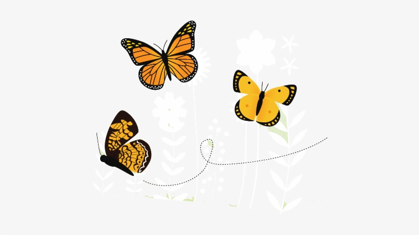 If They Sense A Predator, Or A Human, Approaching, - Butterfly In The Garden Png, transparent png #933204