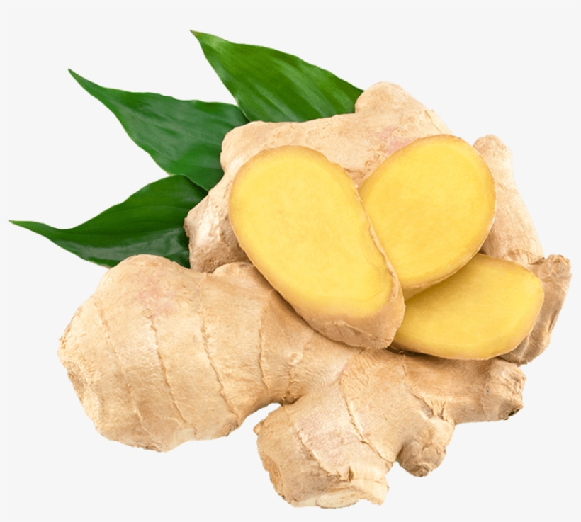 Ginger Png Clipart - Organic India Tulsi Green Tea Lemon Ginger 18 Tea Bags, transparent png #933328