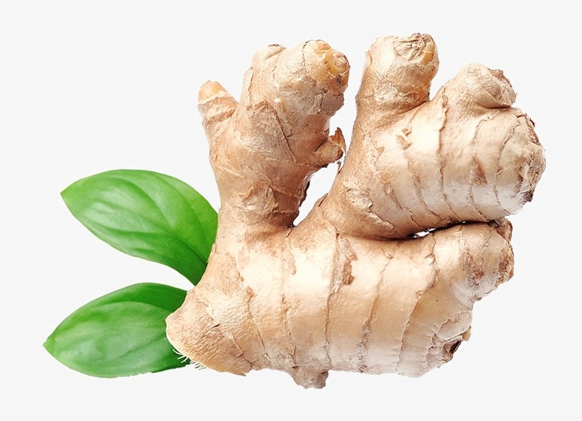 Ginger Png Download Image - Ginger Png, transparent png #933382