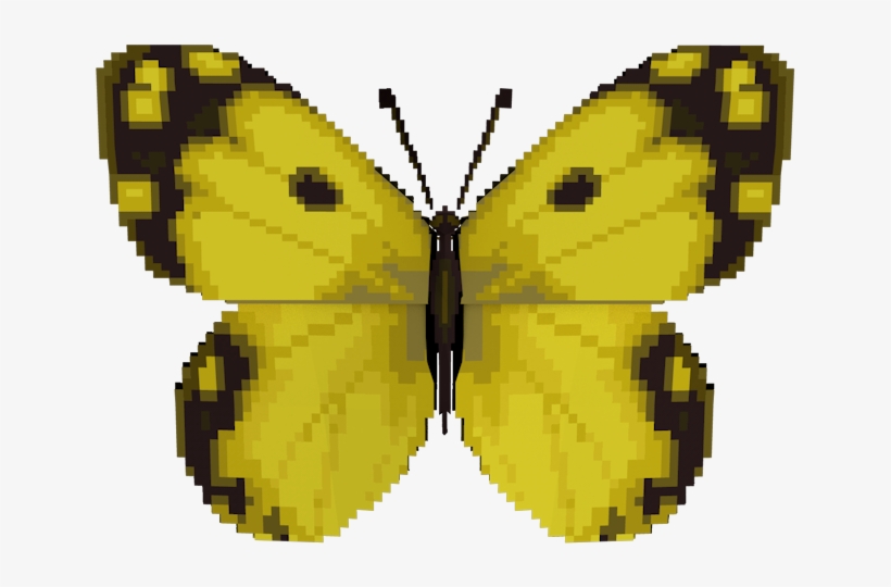 Download Zip Archive - Colias Croceus, transparent png #933486