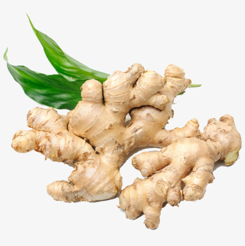 Ginger, transparent png #933489