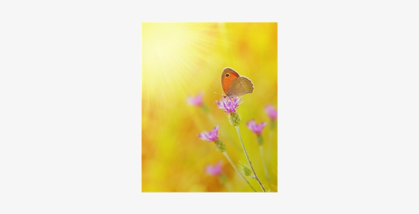 Il Diario Di Rebecca, transparent png #933540