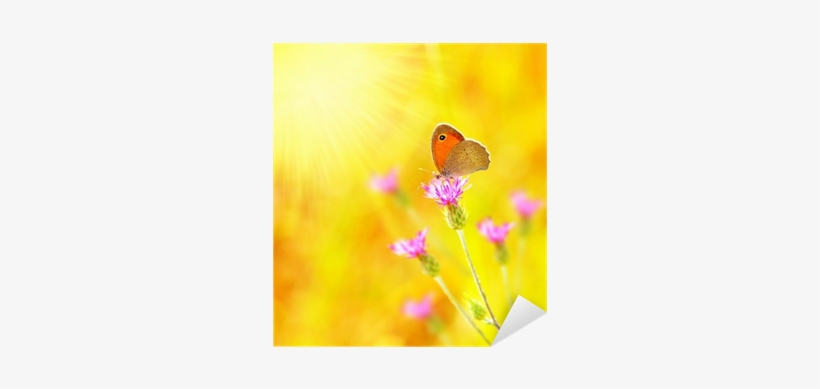Il Diario Di Rebecca, transparent png #933616