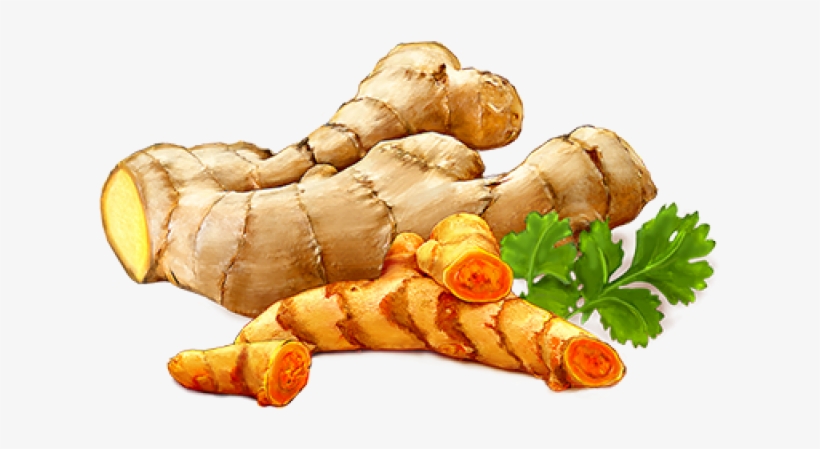 Ginger Png - Ginger Clipart Png, transparent png #933617