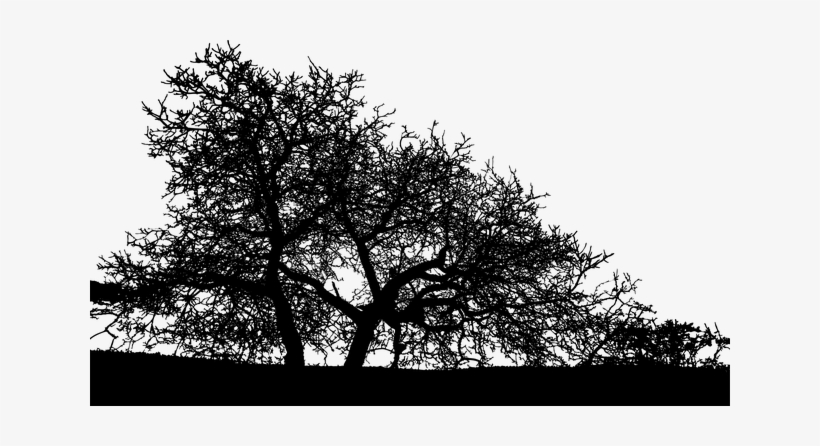 Landscape Tree Silhouette Png Free Transparent Png Download Pngkey