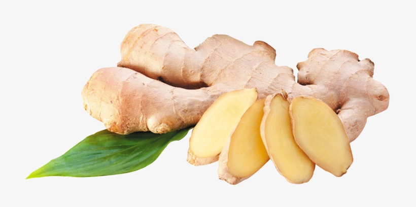 Ginger - Ginger Benefits For Baby, transparent png #933755