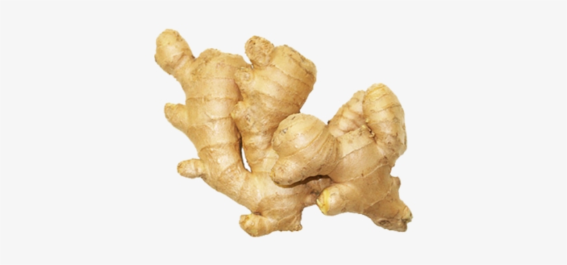 Ginger Nutritional Value Per 100g, transparent png #933781