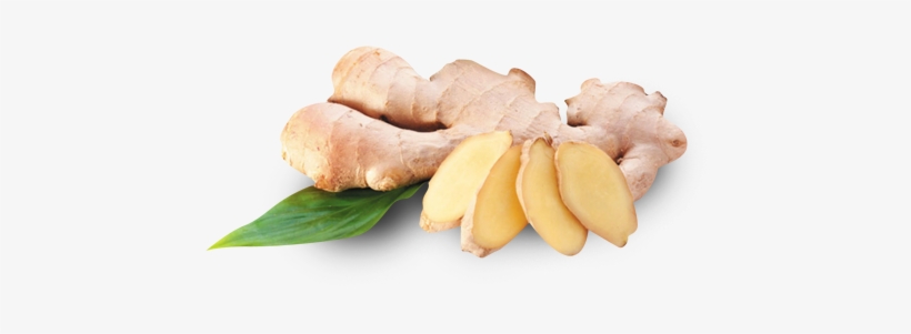 Ginger Puree - Ginger Benefits For Baby, transparent png #933829