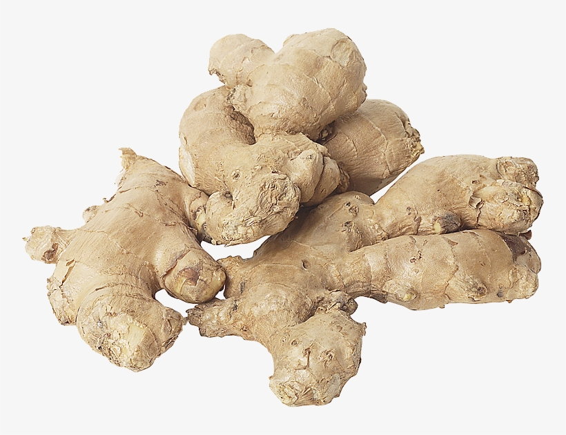 Dry Rot Of Ginger, transparent png #934001