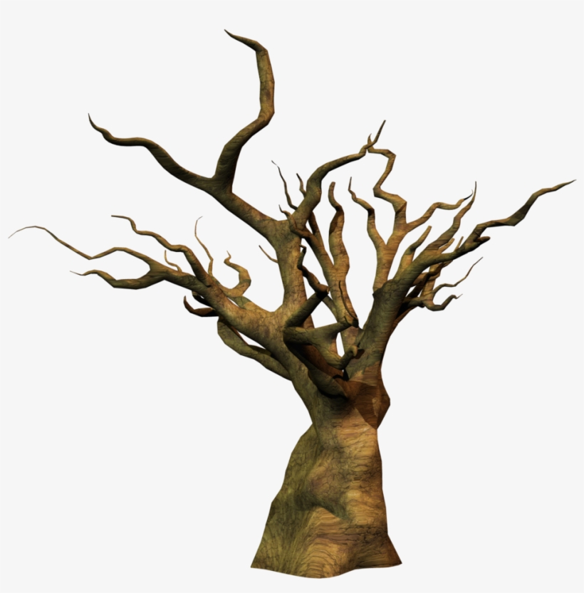 Dead Tree Png Stock By Jumpfer Stock-d6vz4wo Zpsrknaknh0 - Arbol Seco Dibujo Png, transparent png #934064
