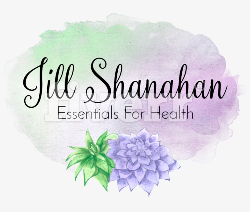 Hydrangea, transparent png #934162