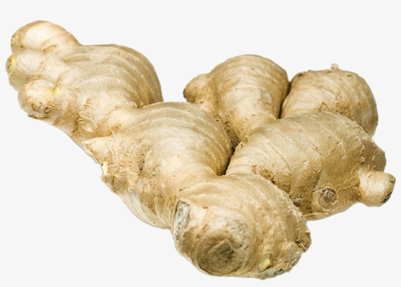Ginger+galangal+lemon Grass Herbal Tea Aids Digestion,, transparent png #934295