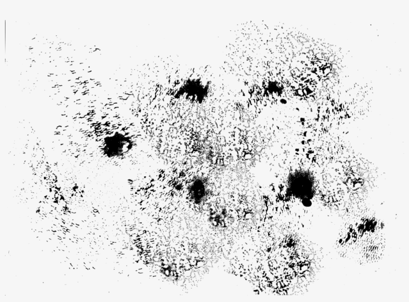 Transparent Grunge Texture - Portable Network Graphics, transparent png #934420