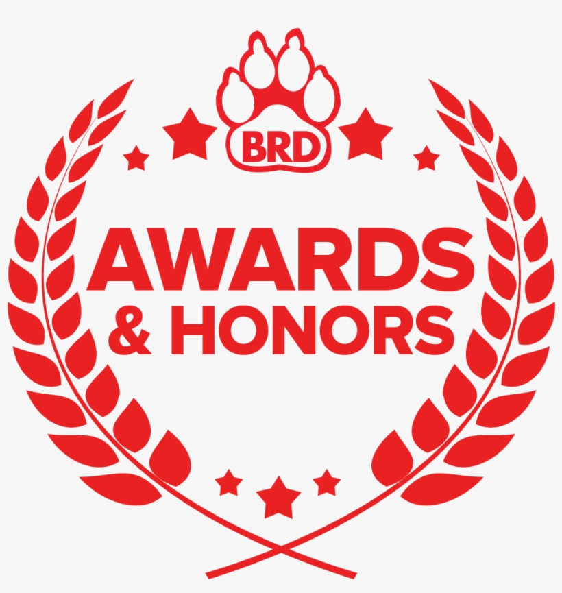 View All - Focus Economics Awards, transparent png #934470