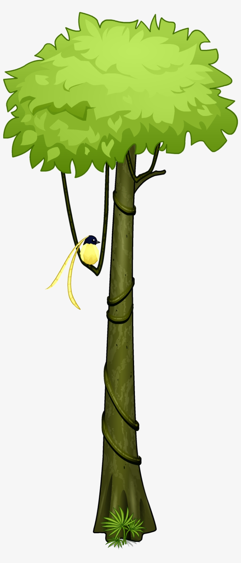 Amazon Rainforest Clipart At Getdrawings - Amazon Rainforest Clipart, transparent png #934590