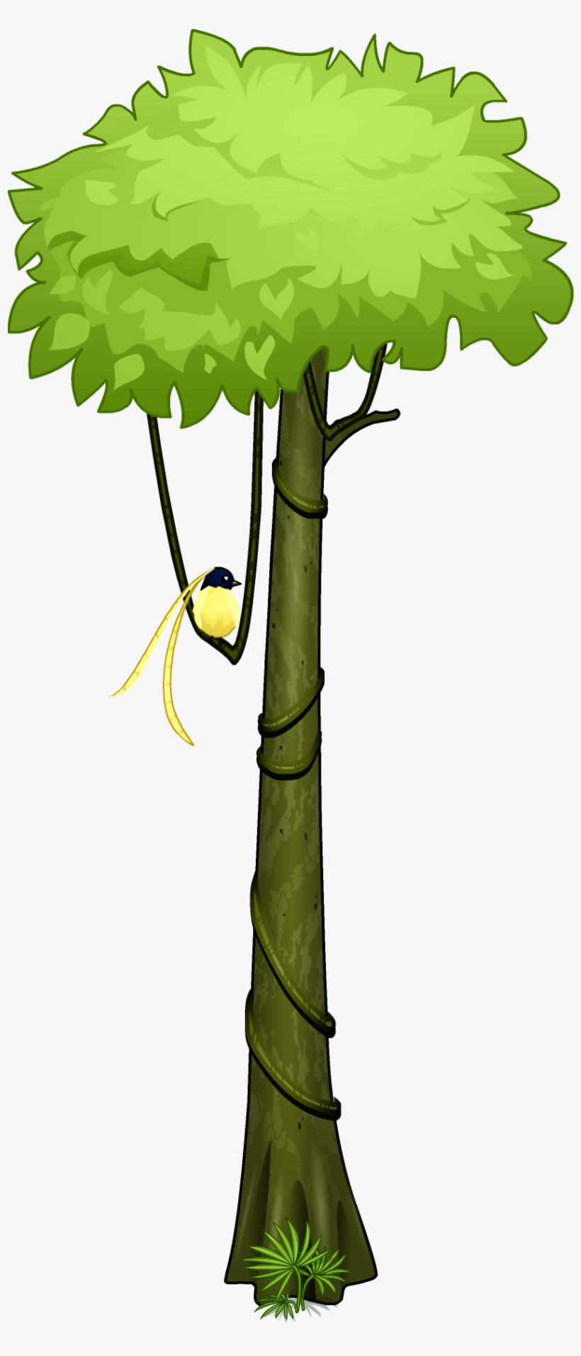 Amazon Rainforest Clipart At Getdrawings - Amazon Rainforest Clipart