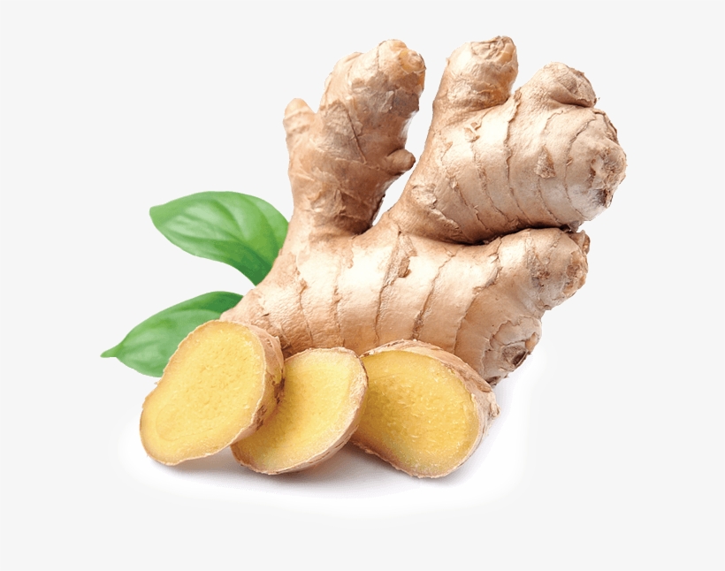 Ginger - Isabella's Clearly Vein, 2 Oz. Natural Alternative., transparent png #934624