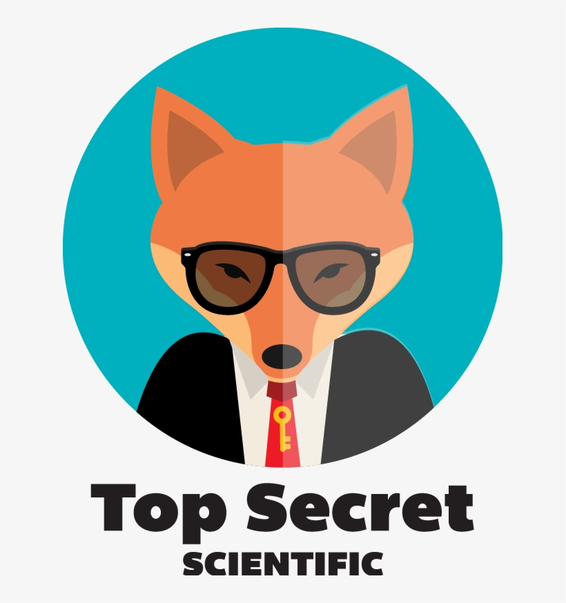 Vector Free Library California Destination Imagination - Student, transparent png #934723