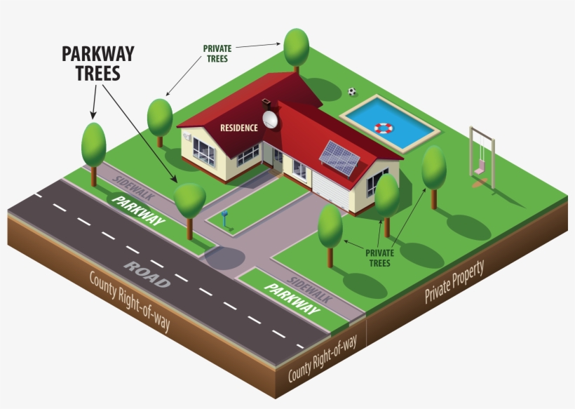 What Is A Parkway Tree - Swimming Pool, transparent png #934809