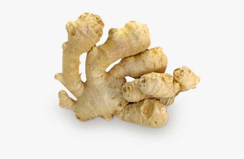 Spice, transparent png #934898