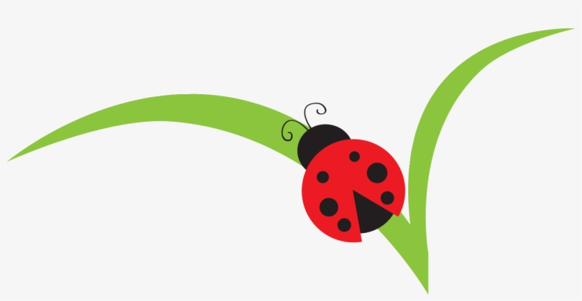 Unlimited Commercial Use - Ladybug On A Leaf Clip Art, transparent png #934923