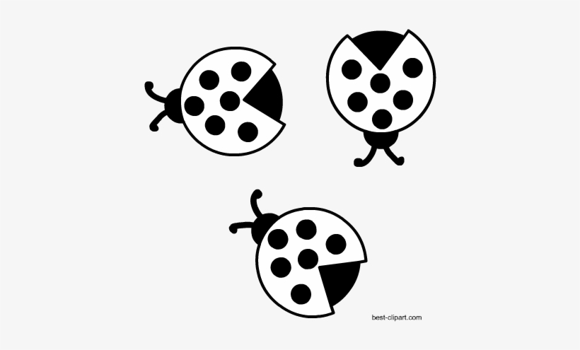 Free Clipart Black And White Ladybirds - Free Content, transparent png #934967