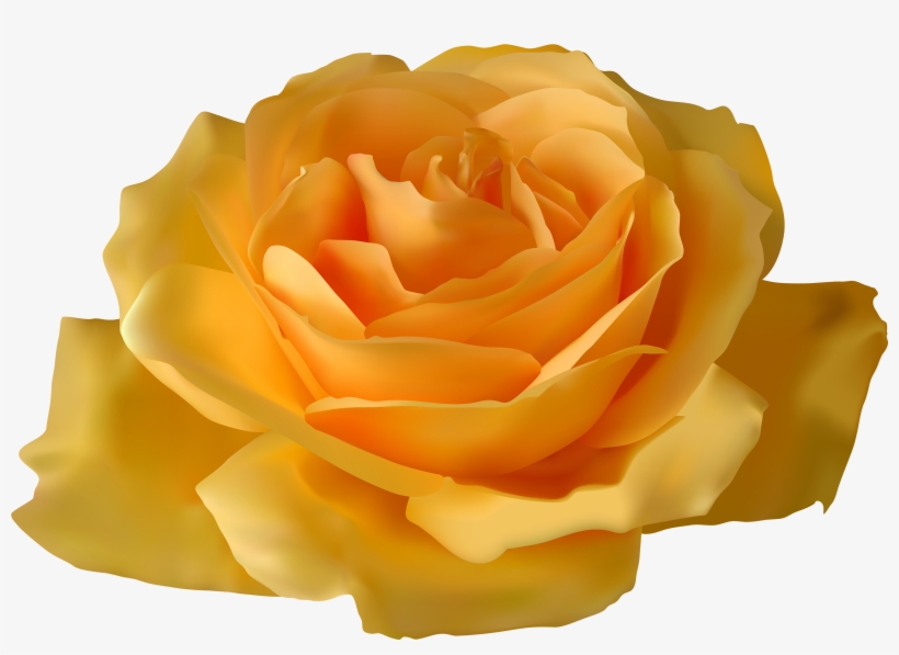 Yellow Rose Png Clipart - Purple Rose With Stem Transparent Background, transparent png #934994