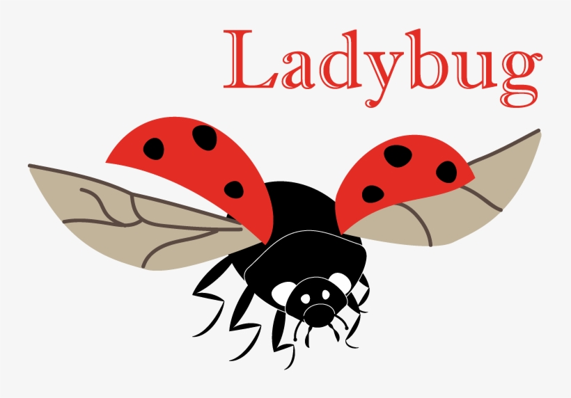 I've Had This Ladybug For My Animal Alphabet Done For - Go Vegan! Square Sticker 3" X 3", transparent png #935401