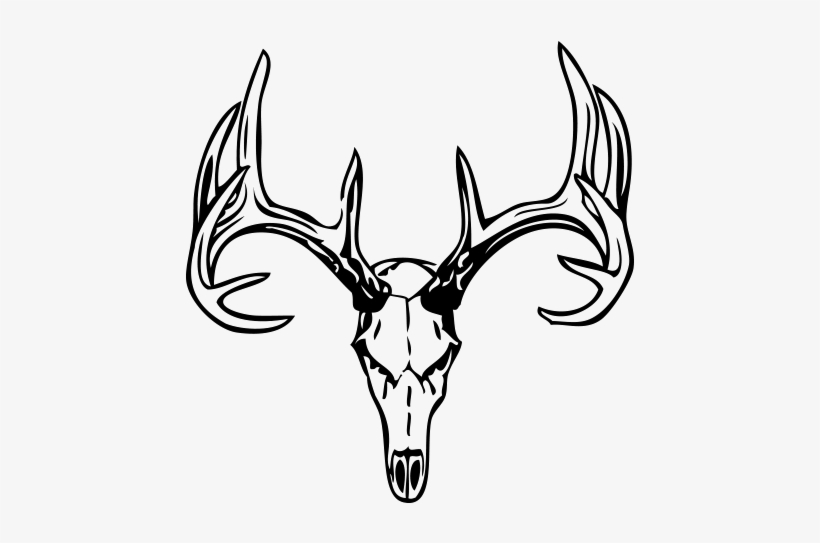 Deer Skull 1 Black Lrg - Draw A Deer Skull, transparent png #935639