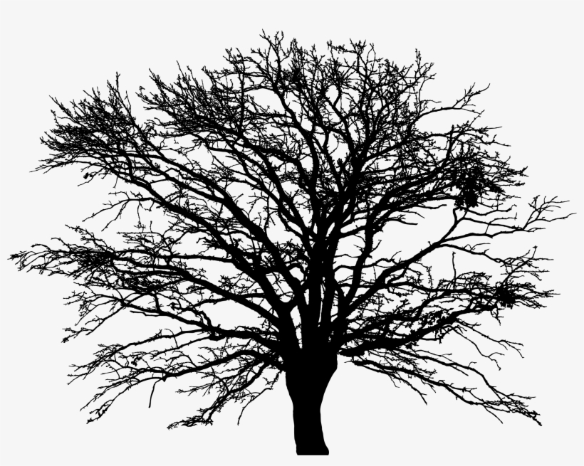 Big Image - 5'x7'area Rug, transparent png #935741