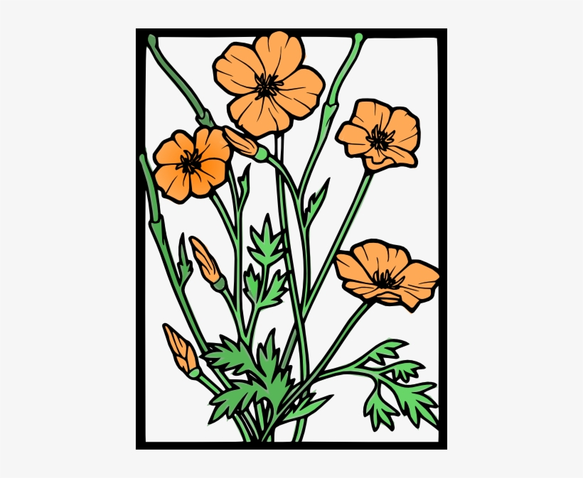 Orange Poppy Flowers, Poppy, Orange, Flowers Png Image - California Poppy Clipart, transparent png #936336