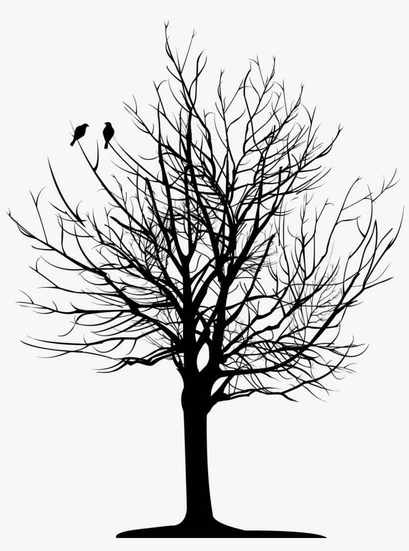 Dark Tree - Bare Tree, transparent png #936745