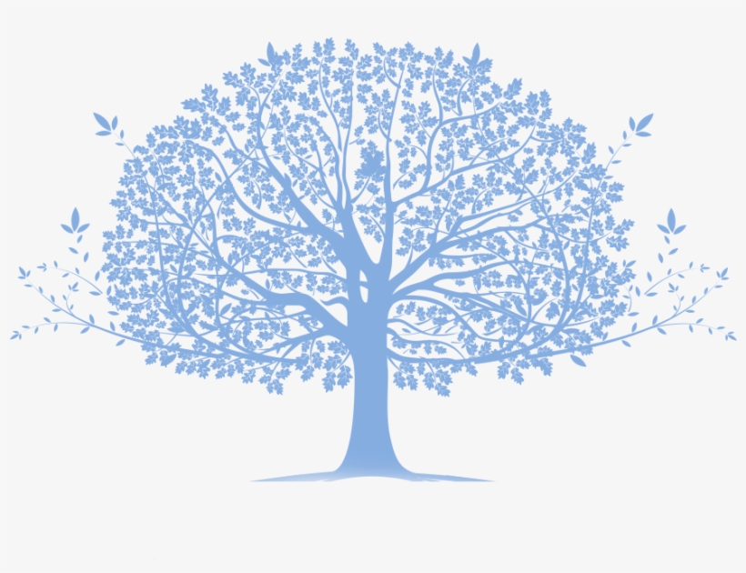 Family Tree Transparent, transparent png #936786