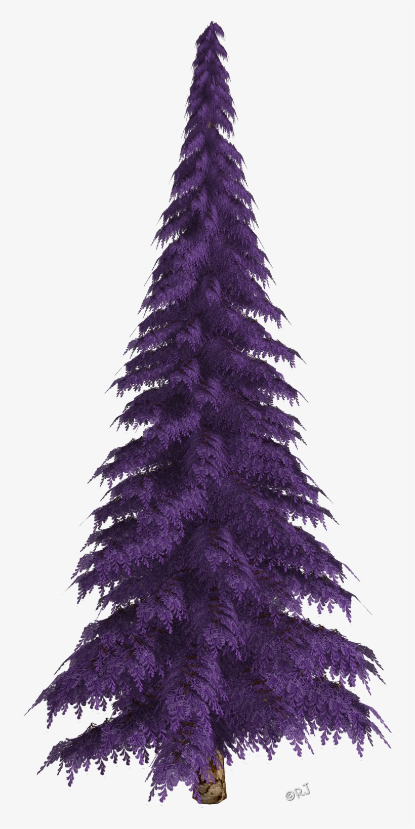 Winter Trees & Christmas Trees - Christmas Tree, transparent png #936964