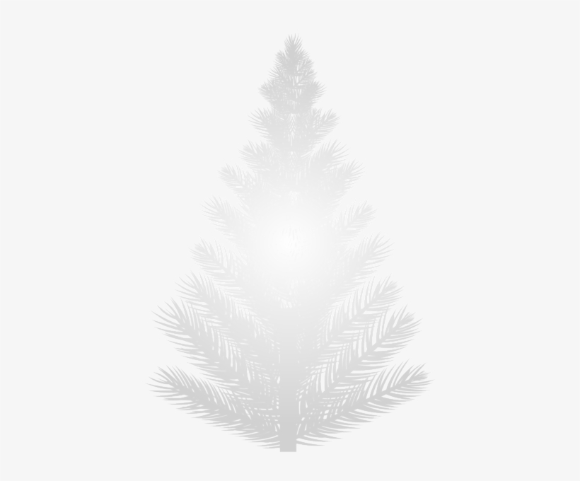 White Pine Tree Png Clip Art Image - Christmas Tree, transparent png #937076