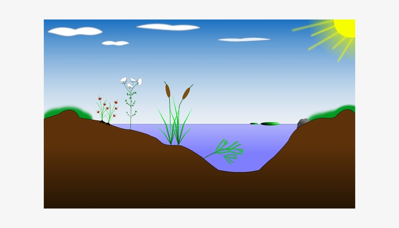 Seeing Science Everywhere - Perfil De Un Lago, transparent png #937429