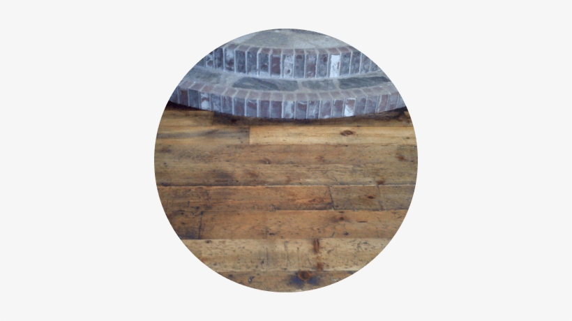 Paraquet - Plank, transparent png #937829