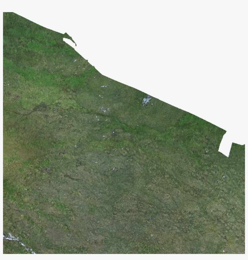 Kml Href, D103 - Grass, transparent png #938340