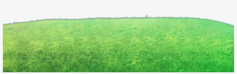 0 - - Lawn, transparent png #938520