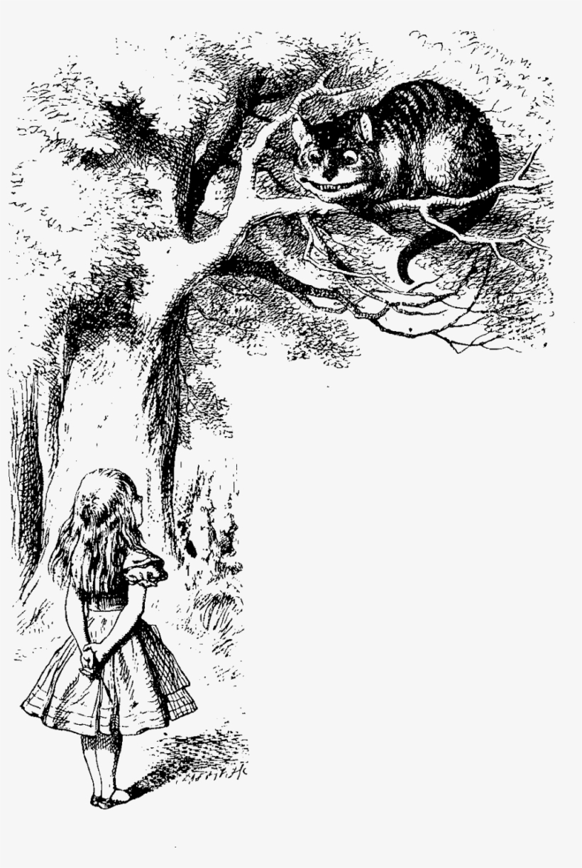 Alice In Wonderland Illustrations Cat - Alice In Wonderland Quotes Which Way Should, transparent png #938772